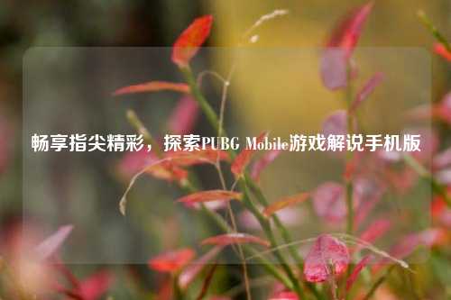 畅享指尖精彩，探索PUBG Mobile游戏解说手机版