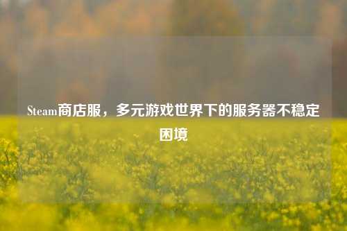 Steam商店服，多元游戏世界下的服务器不稳定困境