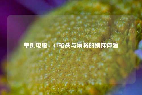 单机电脑，CF枪战与麻将的别样体验