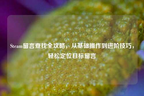 Steam留言查找全攻略,从基础操作到进阶技巧,轻松定位目标留言
