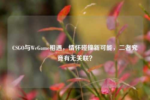 CSGO与WeGame相遇,情怀碰撞新可能,二者究竟有无关联?