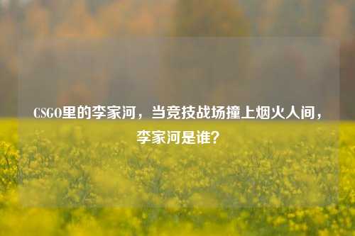 CSGO里的李家河,当竞技战场撞上烟火人间,李家河是谁?