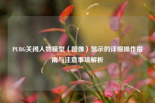 PUBG关闭人物模型（图像）显示的详细操作指南与注意事项解析