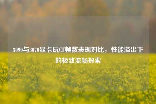 3090与3070显卡玩CF帧数表现对比,性能溢出下的极致流畅探索
