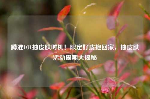 蹲准LOL抽皮肤时机!限定好皮抱回家,抽皮肤活动周期大揭秘