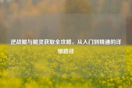 逆战鲲与鲲灵获取全攻略,从入门到精通的详细路径