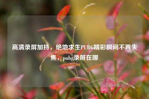 高清录屏加持,绝地求生PUBG精彩瞬间不再失焦,pubg录屏在哪