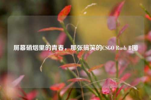 屏幕硝烟里的青春,那张搞笑的CSGO Rush B图
