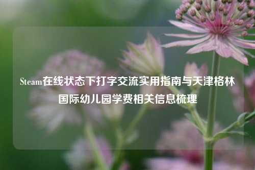 Steam在线状态下打字交流实用指南与天津格林国际幼儿园学费相关信息梳理