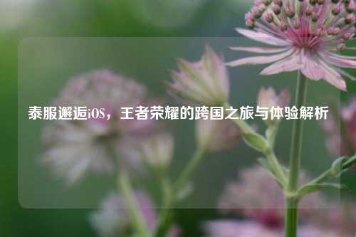 泰服邂逅iOS,王者荣耀的跨国之旅与体验解析