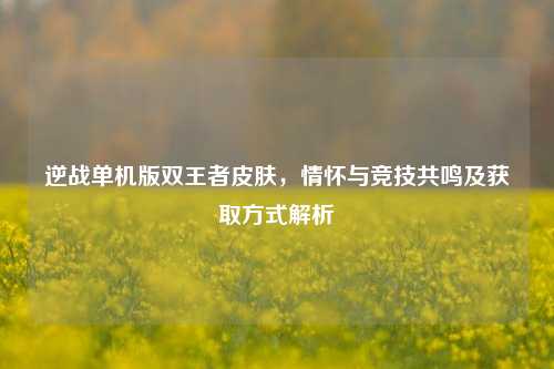 逆战单机版双王者皮肤,情怀与竞技共鸣及获取方式解析