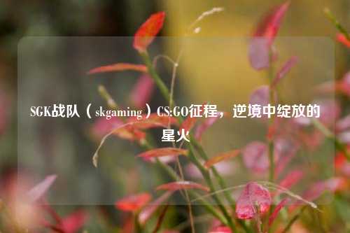 SGK战队（skgaming）CS:GO征程，逆境中绽放的星火