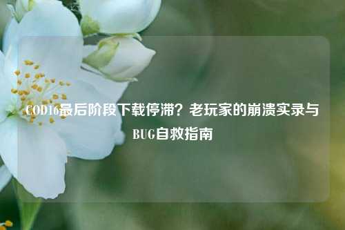 COD16最后阶段下载停滞?老玩家的崩溃实录与BUG自救指南