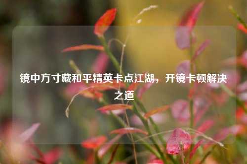 镜中方寸藏和平精英卡点江湖,开镜卡顿解决之道