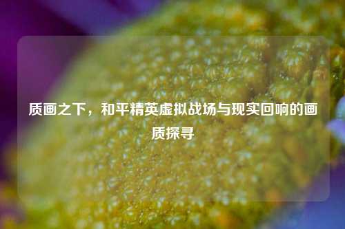 质画之下，和平精英虚拟战场与现实回响的画质探寻