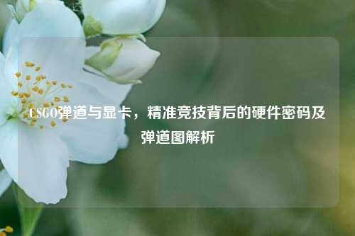 CSGO弹道与显卡,精准竞技背后的硬件密码及弹道图解析