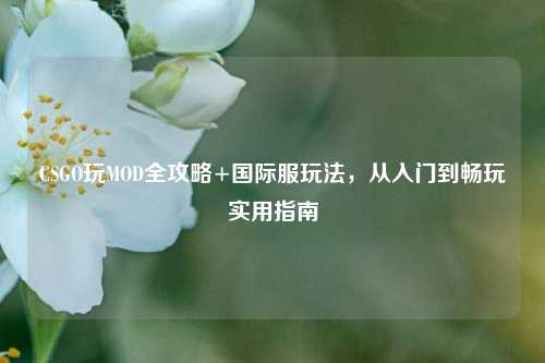 CSGO玩MOD全攻略+国际服玩法,从入门到畅玩实用指南