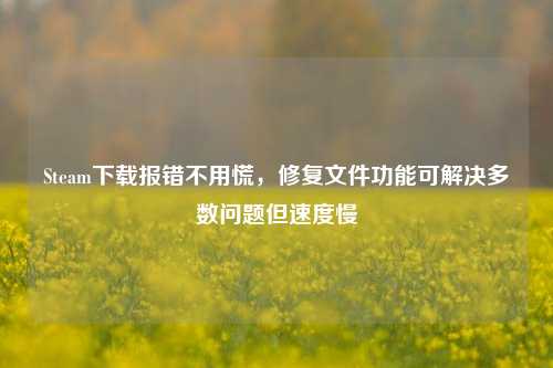 Steam下载报错不用慌,修复文件功能可解决多数问题但速度慢