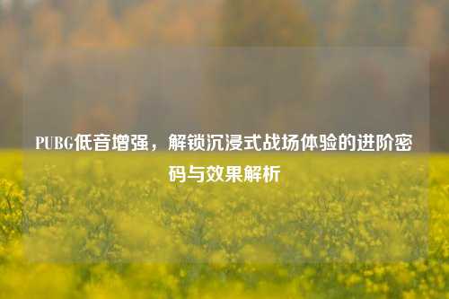 PUBG低音增强,解锁沉浸式战场体验的进阶密码与效果解析