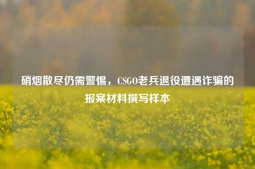 硝烟散尽仍需警惕,CSGO老兵退役遭遇诈骗的报案材料撰写样本