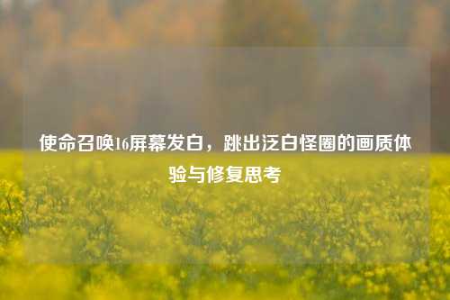 使命召唤16屏幕发白,跳出泛白怪圈的画质体验与修复思考