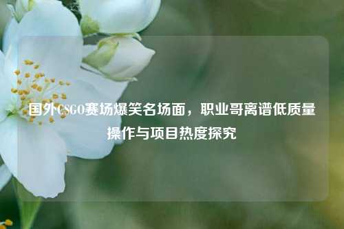 国外CSGO赛场爆笑名场面,职业哥离谱低质量操作与项目热度探究