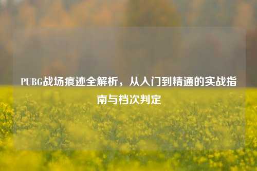 PUBG战场痕迹全解析,从入门到精通的实战指南与档次判定