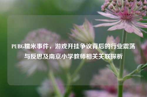 PUBG糯米事件,游戏开挂争议背后的行业震荡与反思及南京小学教师相关关联探析