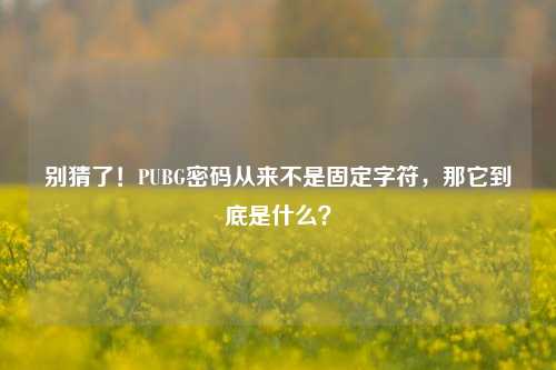 别猜了!PUBG密码从来不是固定字符,那它到底是什么?