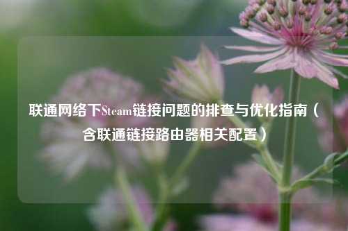 联通网络下Steam链接问题的排查与优化指南(含联通链接路由器相关配置)