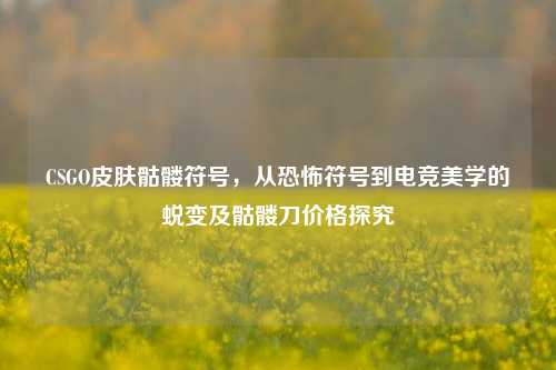 CSGO皮肤骷髅符号,从恐怖符号到电竞美学的蜕变及骷髅刀价格探究
