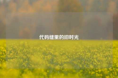 代码缝里的旧时光