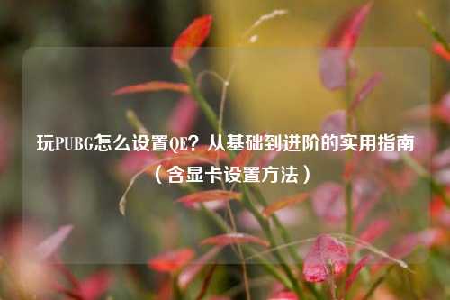 玩PUBG怎么设置QE?从基础到进阶的实用指南(含显卡设置方法)
