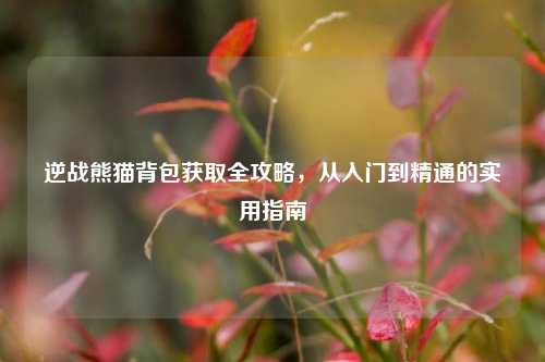 逆战熊猫背包获取全攻略,从入门到精通的实用指南