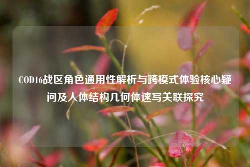 COD16战区角色通用性解析与跨模式体验核心疑问及人体结构几何体速写关联探究