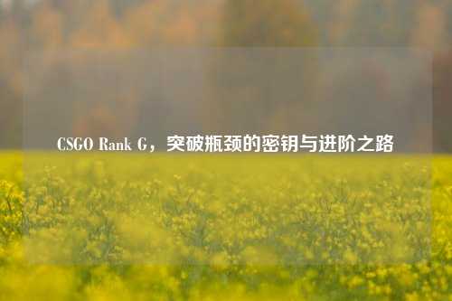 CSGO Rank G,突破瓶颈的密钥与进阶之路