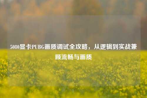 5080显卡PUBG画质调试全攻略,从逻辑到实战兼顾流畅与画质