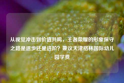 从视觉冲击到价值共鸣,王者荣耀的形象保守之路是退步还是进阶?兼议天津格林国际幼儿园学费