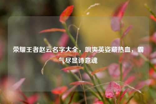 荣耀王者赵云名字大全,飒爽英姿藏热血,霸气尽显诗意魂