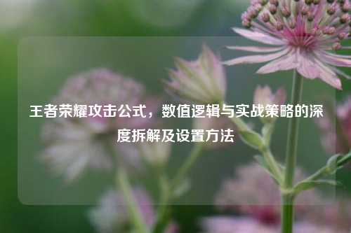 王者荣耀攻击公式,数值逻辑与实战策略的深度拆解及设置方法