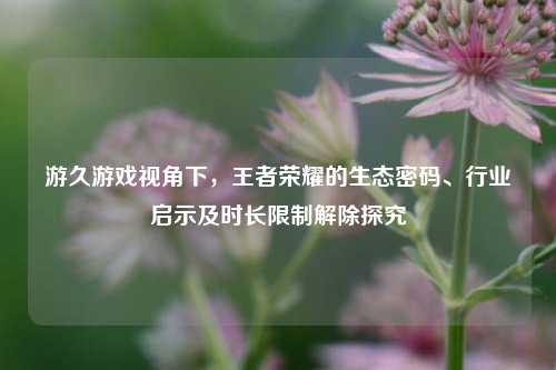 游久游戏视角下,王者荣耀的生态密码、行业启示及时长限制解除探究