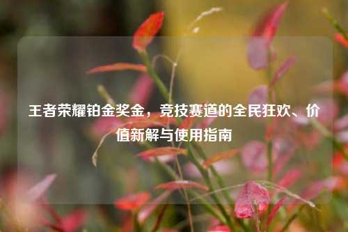 王者荣耀铂金奖金,竞技赛道的全民狂欢、价值新解与使用指南