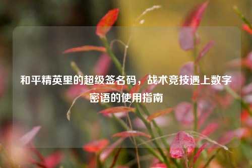 和平精英里的超级签名码,战术竞技遇上数字密语的使用指南
