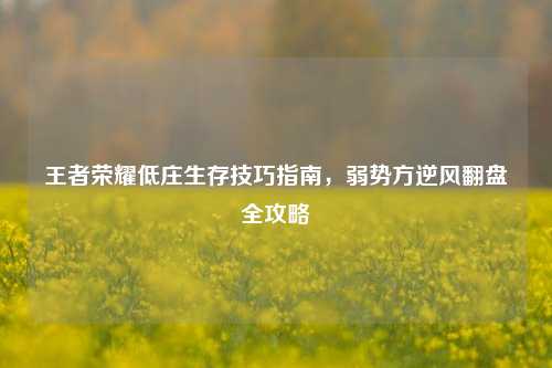 王者荣耀低庄生存技巧指南,弱势方逆风翻盘全攻略