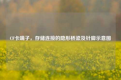 CF卡端子,存储连接的隐形桥梁及针脚示意图